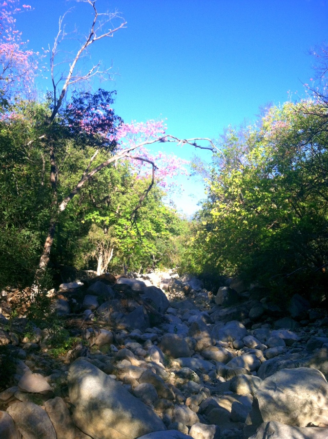 Cañón Cieneguilla